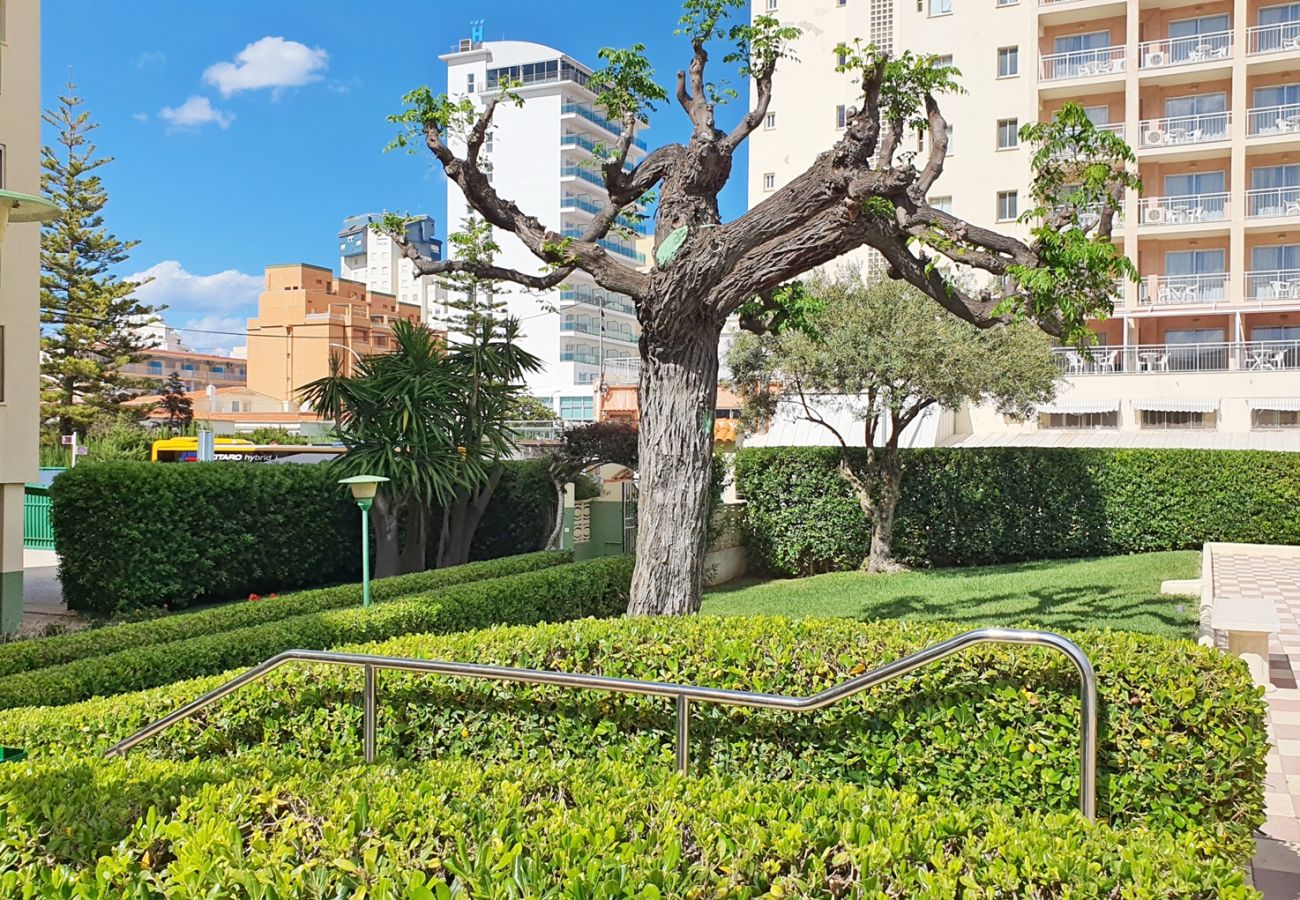 Apartamento en Gandia - GARDENIAS I  4ª - 4º -G    /   PLAYA DE GANDIA