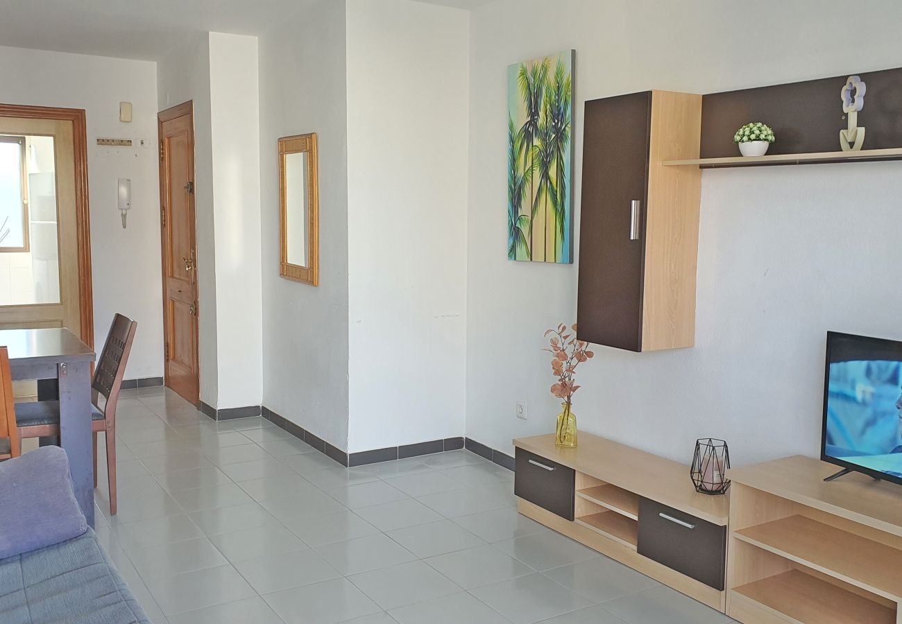 Apartamento en Gandia - GARDENIAS II - 2ª - 7º - C    /   PLAYA DE GANDIA