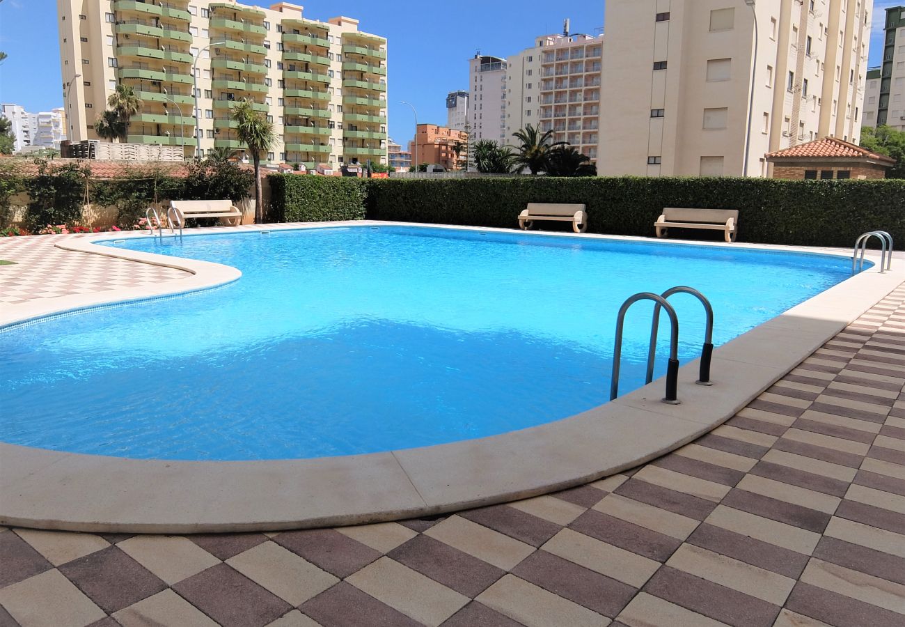 Apartamento en Gandia - GARDENIAS II - 2ª - 7º - C    /   PLAYA DE GANDIA