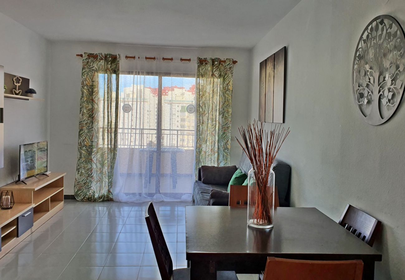 Apartamento en Gandia - GARDENIAS II - 2ª - 7º - C    /   PLAYA DE GANDIA