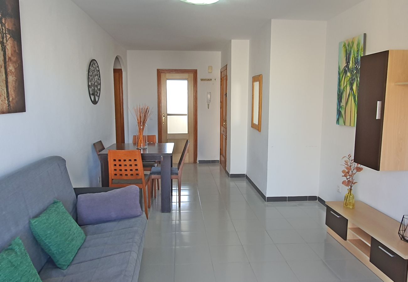 Apartamento en Gandia - GARDENIAS II - 2ª - 7º - C    /   PLAYA DE GANDIA