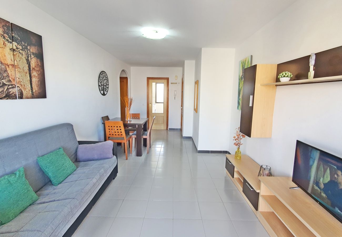Apartamento en Gandia - GARDENIAS II - 2ª - 7º - C    /   PLAYA DE GANDIA