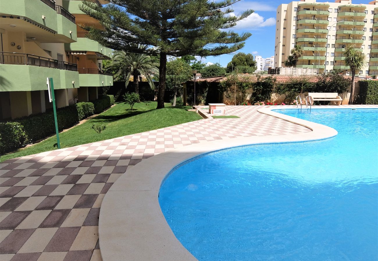 Apartamento en Gandia - GARDENIAS II - 2ª - 7º - C    /   PLAYA DE GANDIA