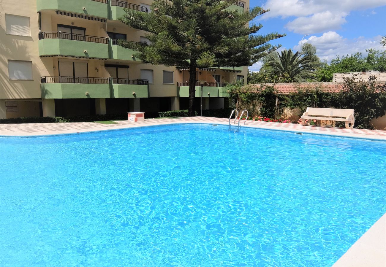 Apartamento en Gandia - GARDENIAS II - 1ª - 6º - B    /    PLAYA DE GANDIA