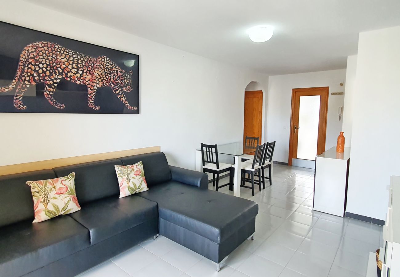 Apartamento en Gandia - GARDENIAS II - 2ª - 8º - C    /    PLAYA DE GANDIA