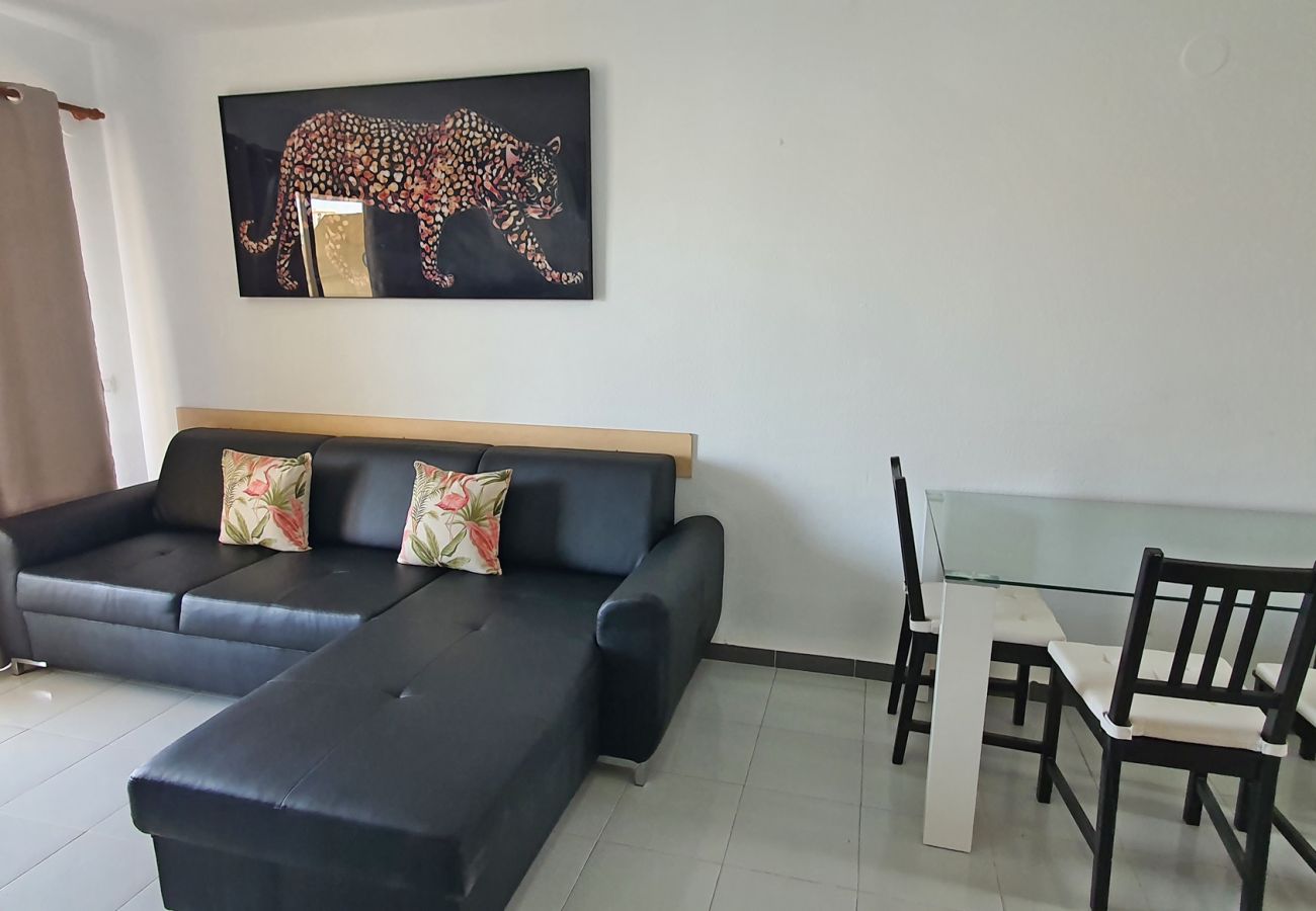 Apartamento en Gandia - GARDENIAS II - 2ª - 8º - C    /    PLAYA DE GANDIA