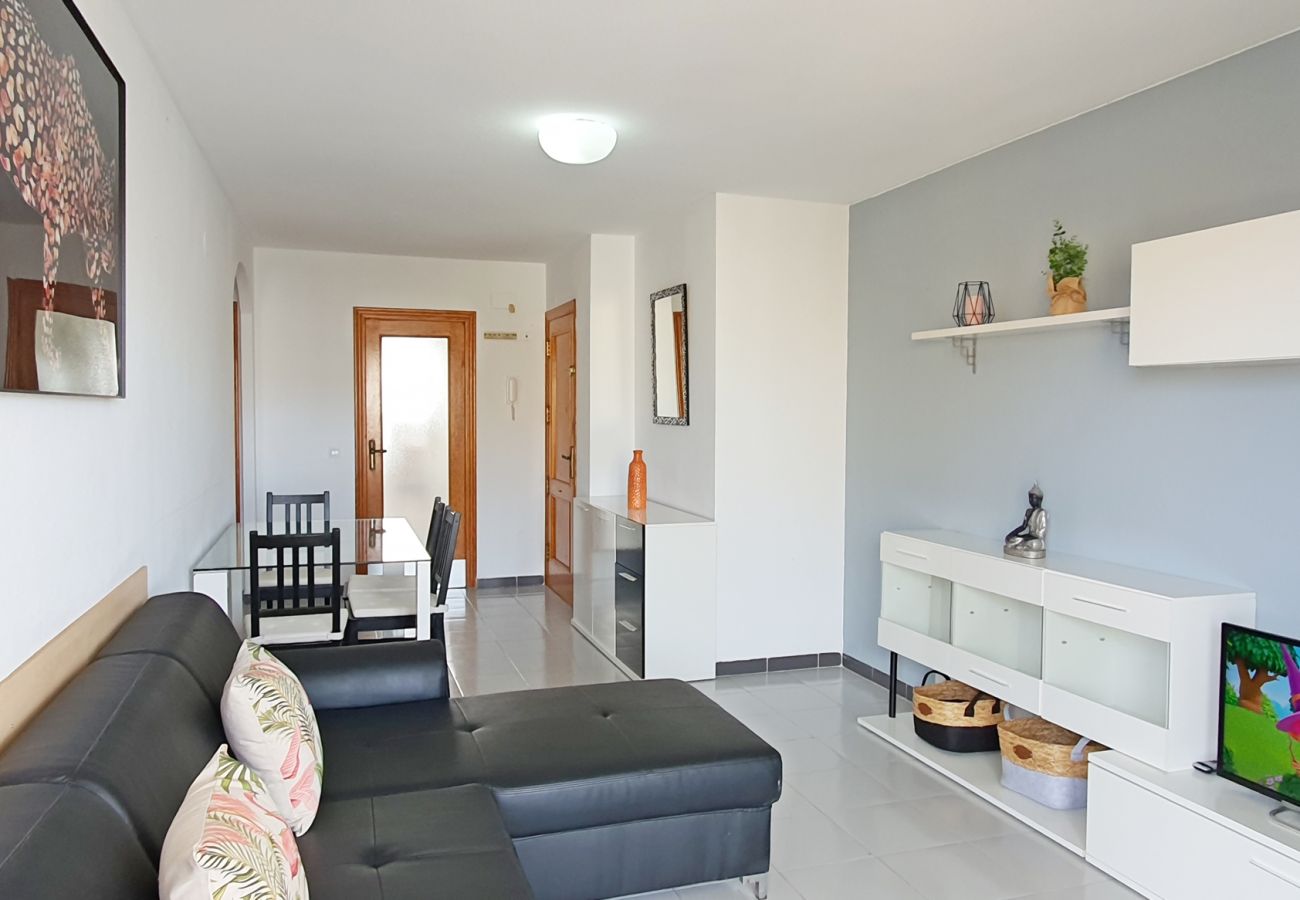 Apartamento en Gandia - GARDENIAS II - 2ª - 8º - C    /    PLAYA DE GANDIA