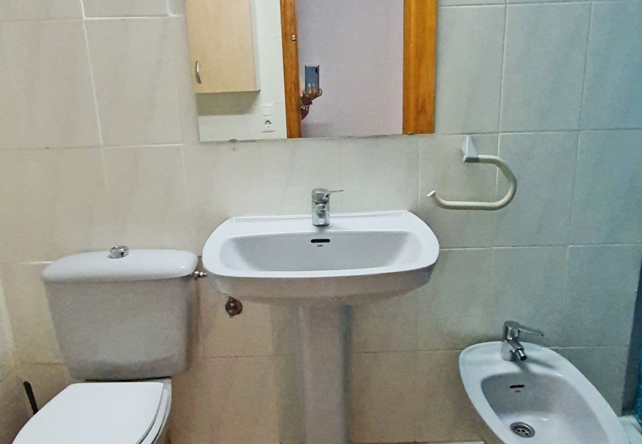 Apartamento en Gandia - GARDENIAS II - 2ª - 8º - C    /    PLAYA DE GANDIA