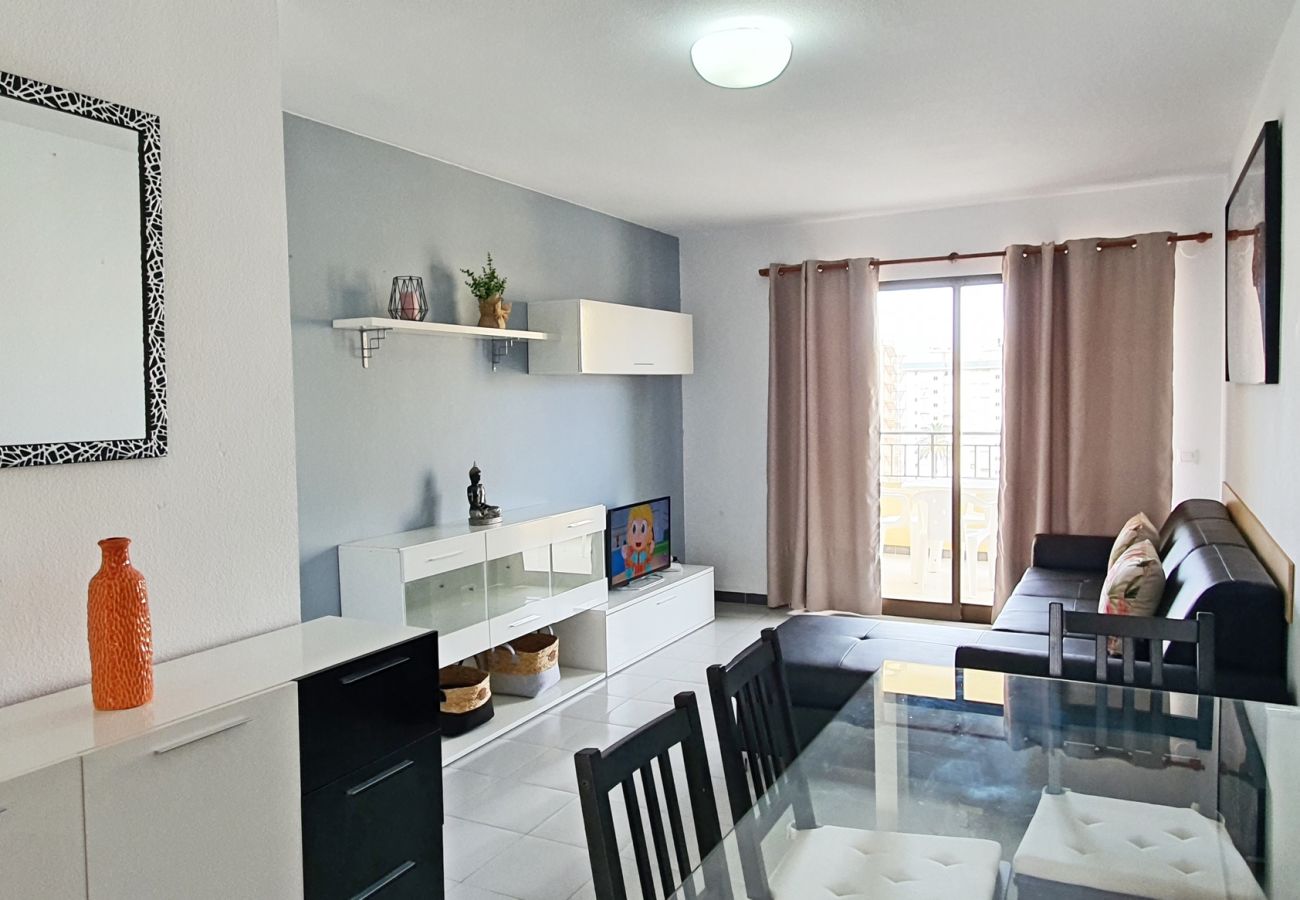 Apartamento en Gandia - GARDENIAS II - 2ª - 8º - C    /    PLAYA DE GANDIA