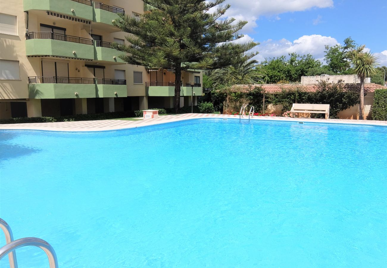 Apartamento en Gandia - GARDENIAS II - 2ª - 8º - C    /    PLAYA DE GANDIA