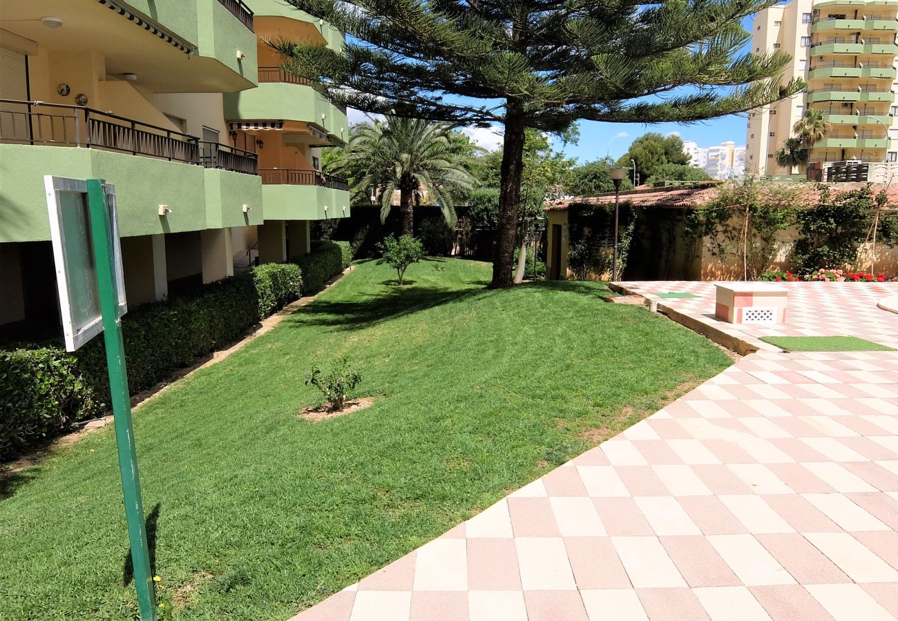 Apartamento en Gandia - GARDENIAS II - 2ª - 8º - C    /    PLAYA DE GANDIA