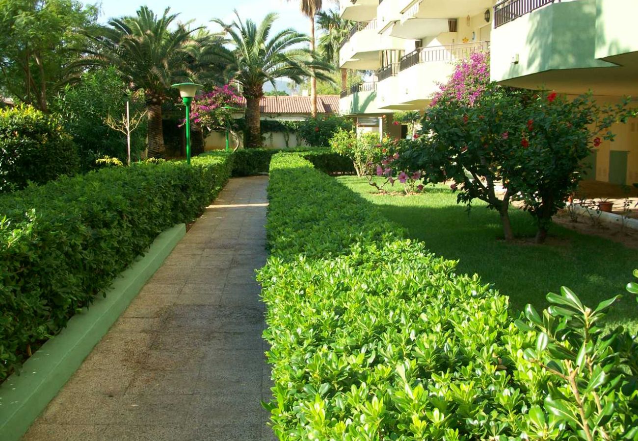 Apartamento en Gandia - GARDENIAS III - 8º D    /   PLAYA DE GANDIA