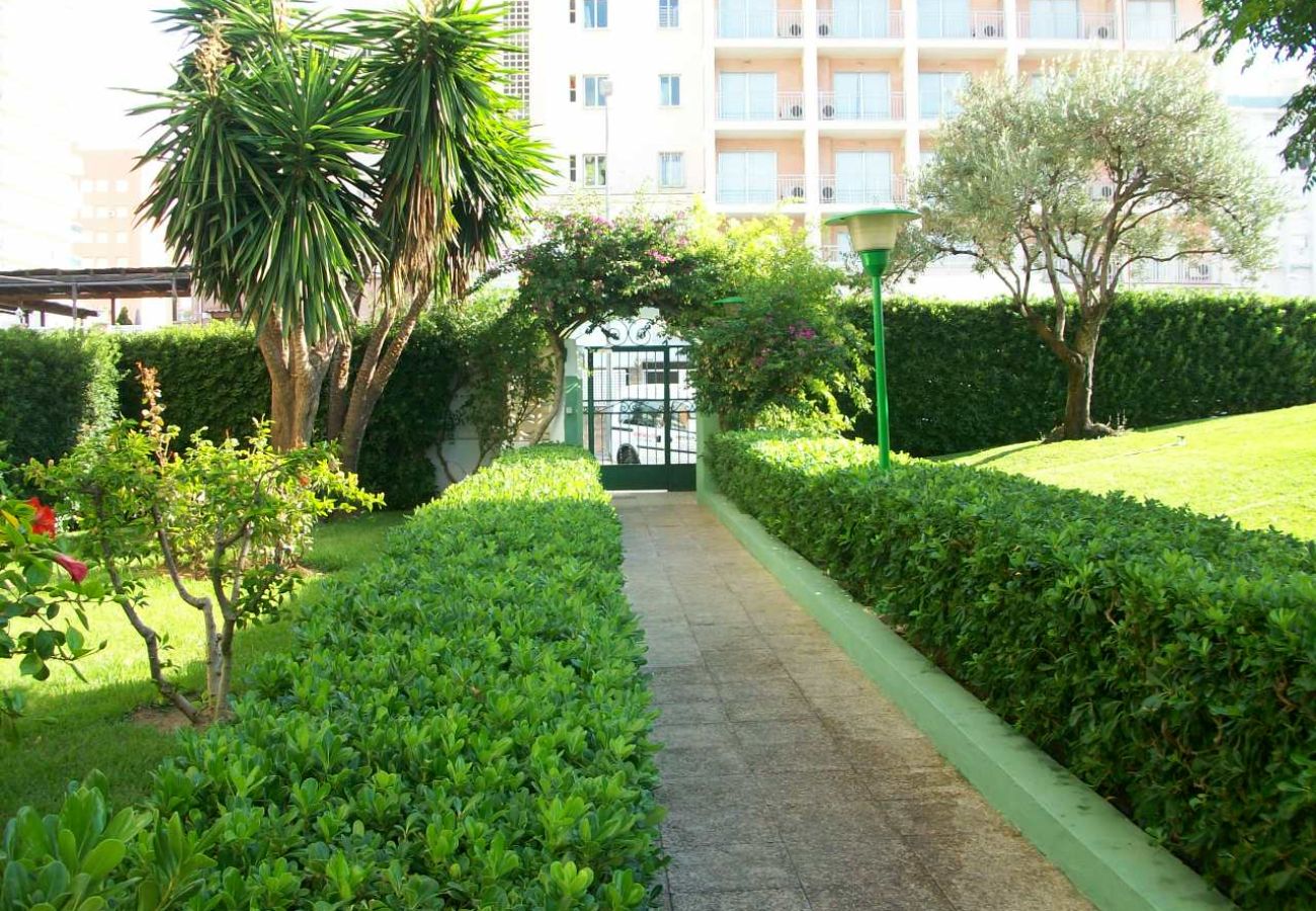 Apartamento en Gandia - GARDENIAS III - 8º D    /   PLAYA DE GANDIA