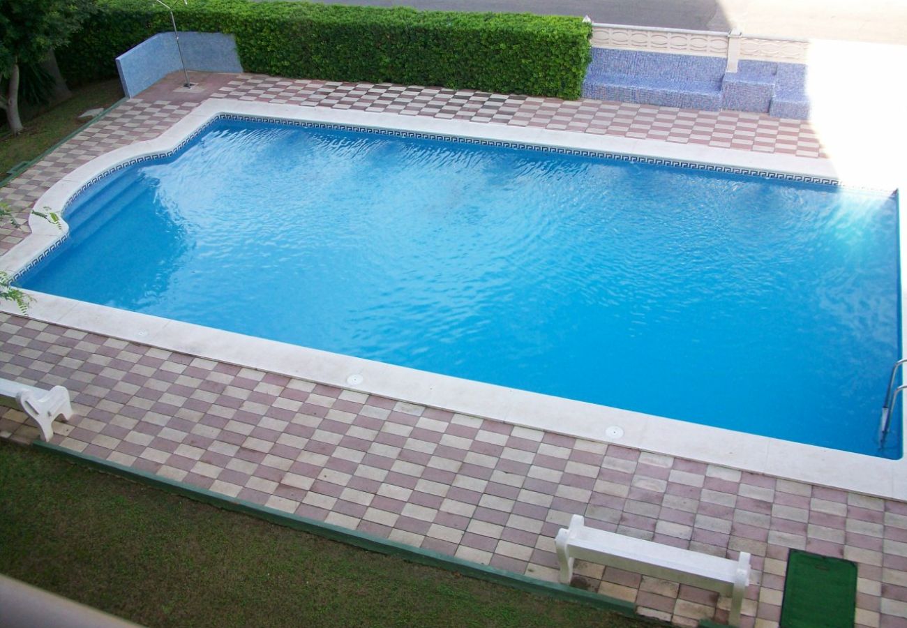 Apartamento en Gandia - GARDENIAS III - 8º D    /   PLAYA DE GANDIA
