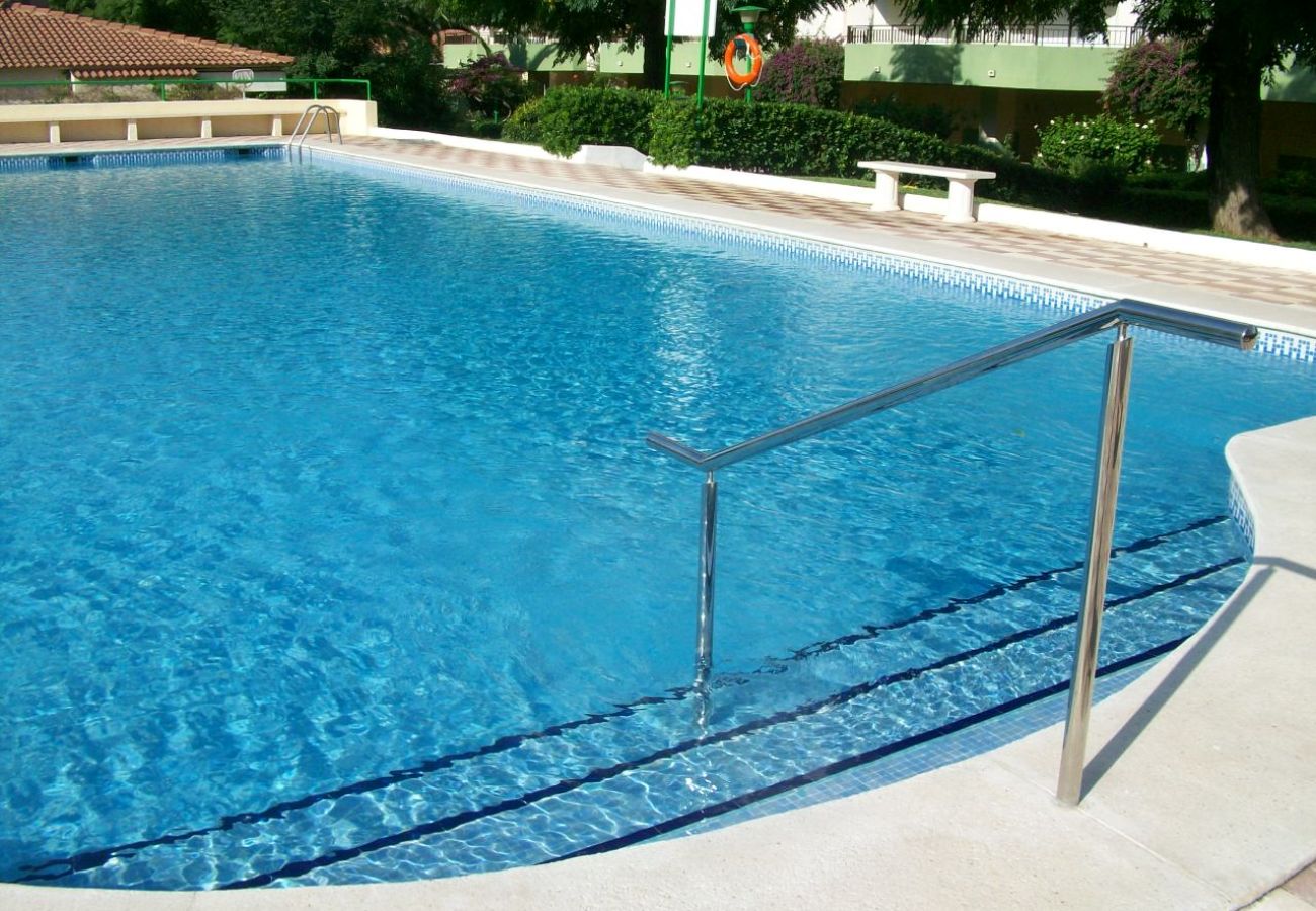 Apartamento en Gandia - GARDENIAS III - 8º D    /   PLAYA DE GANDIA