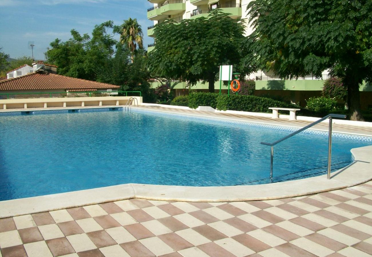 Apartamento en Gandia - GARDENIAS III - 8º D    /   PLAYA DE GANDIA