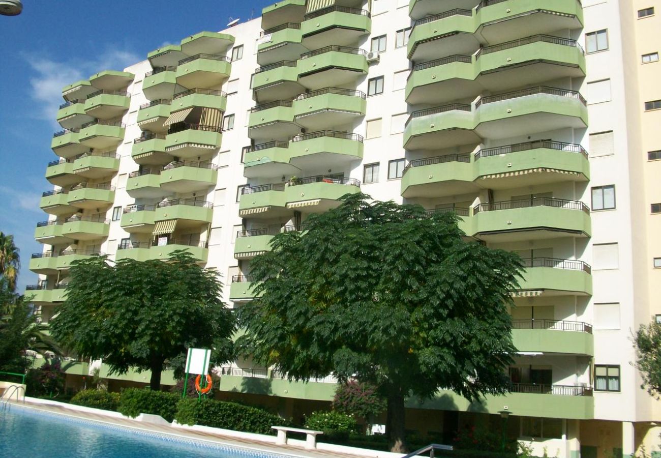 Apartamento en Gandia - GARDENIAS III - 8º D    /   PLAYA DE GANDIA