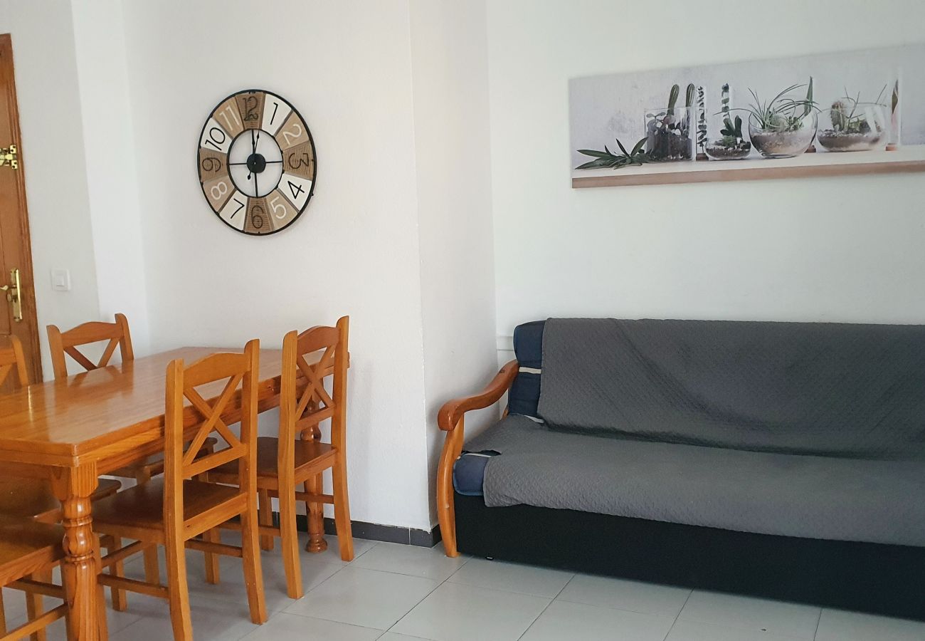 Apartamento en Gandia - GARDENIAS III - 9º - A   /   PLAYA DE GANDIA
