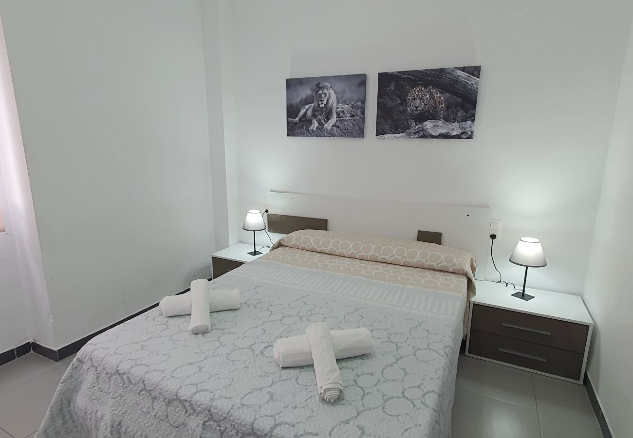 Apartamento en Gandia - GARDENIAS III - 9º - A   /   PLAYA DE GANDIA