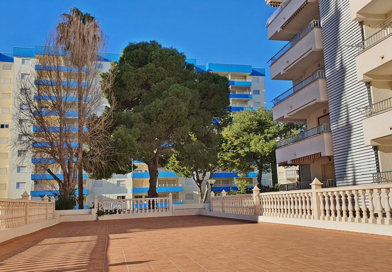 Apartamento en Gandia - GANDIAZAR I - C - 5º - 10ª    /    PLAYA DE GANDIA