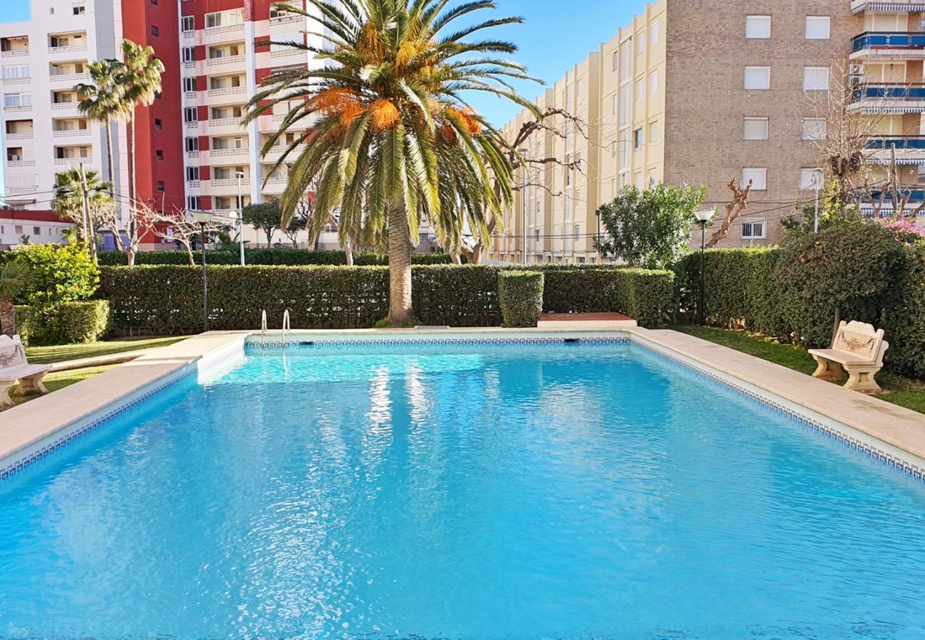 Apartamento en Gandia - GANDIAZAR I - C - 5º - 10ª    /    PLAYA DE GANDIA