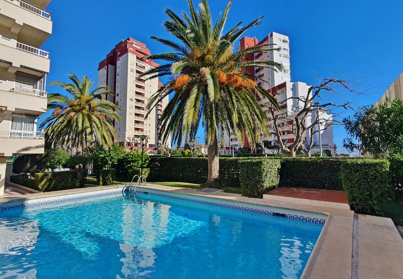 Apartamento en Gandia - GANDIAZAR I - C - 5º - 10ª    /    PLAYA DE GANDIA