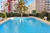 Apartamento en Gandia - GANDIAZAR I - C - 5º - 10ª    /    PLAYA DE GANDIA