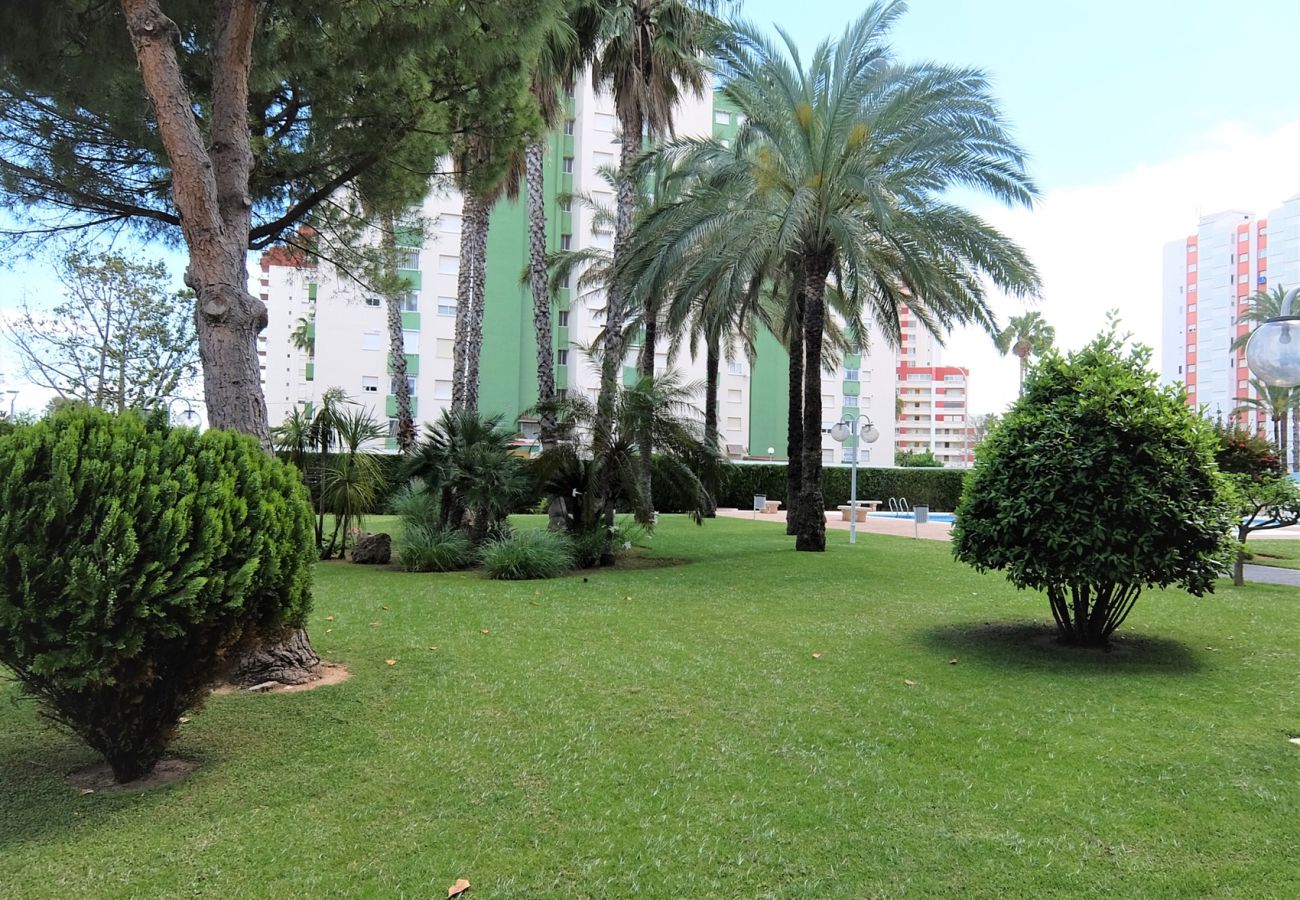 Apartamento en Gandia - LA FLORIDA 3ª - 8º  -15ª    /   PLAYA DE GANDIA