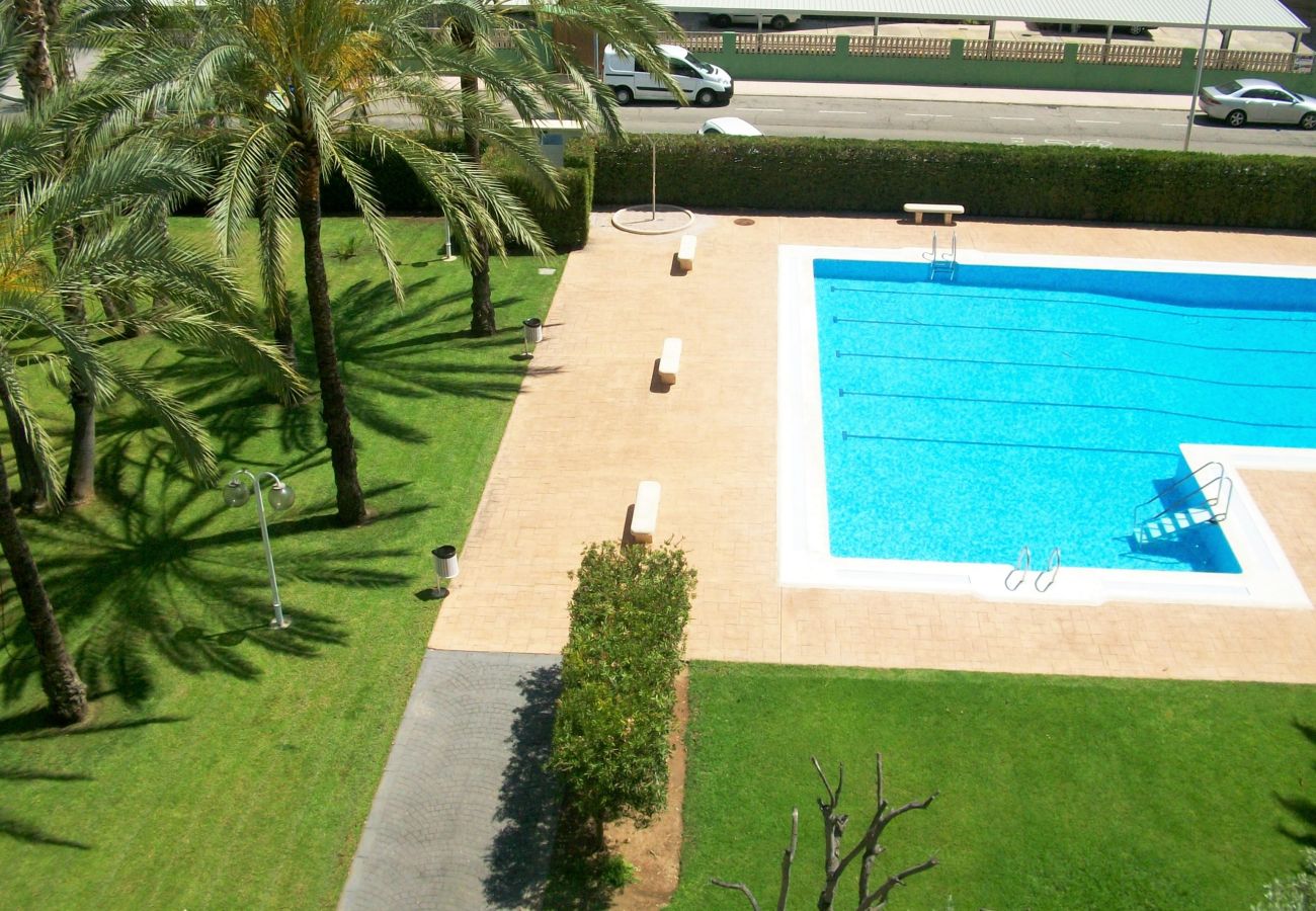 Apartamento en Gandia - LA FLORIDA 3ª - 8º  -15ª    /   PLAYA DE GANDIA