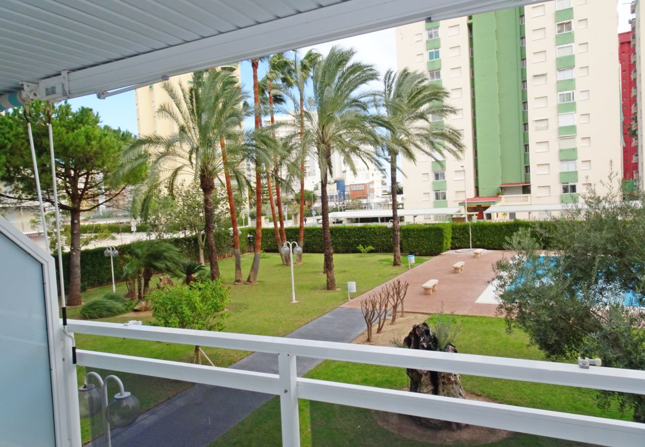 Apartamento en Gandia - LA FLORIDA 3ª - 1º - 2ª    /   PLAYA DE GANDIA