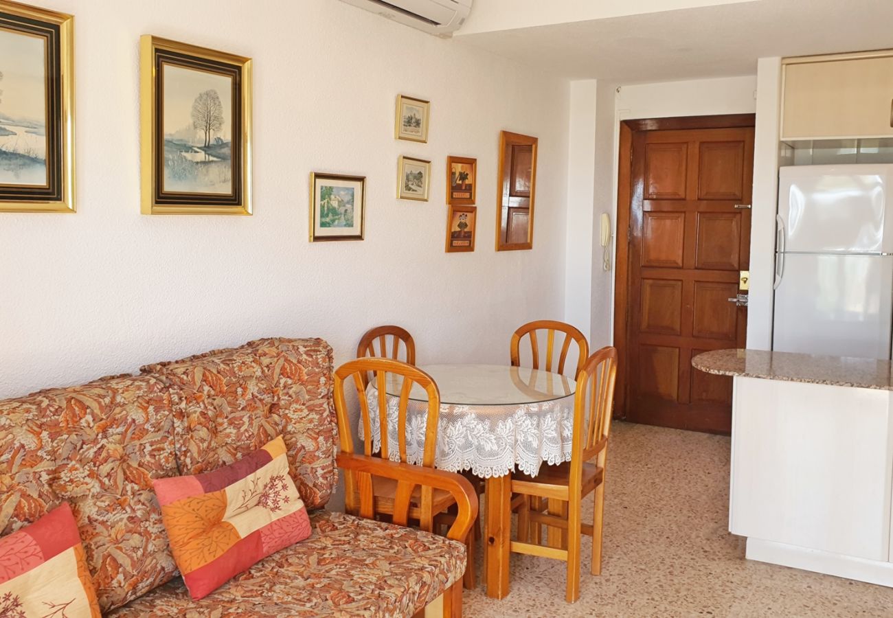 Apartamento en Gandia - INFANTE E2 - 1º    /    PLAYA DE GANDIA