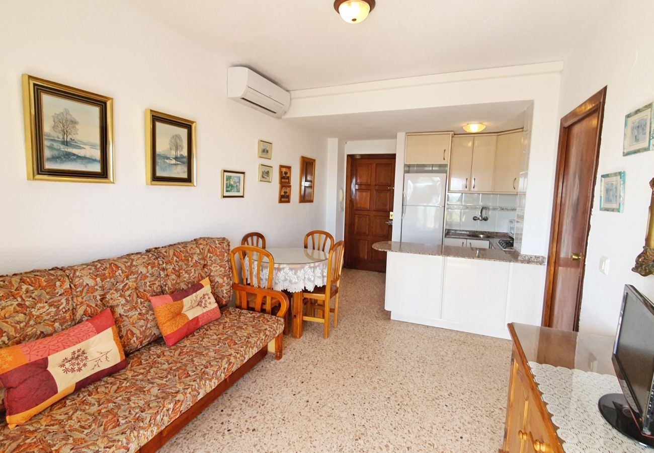 Apartamento en Gandia - INFANTE E2 - 1º    /    PLAYA DE GANDIA
