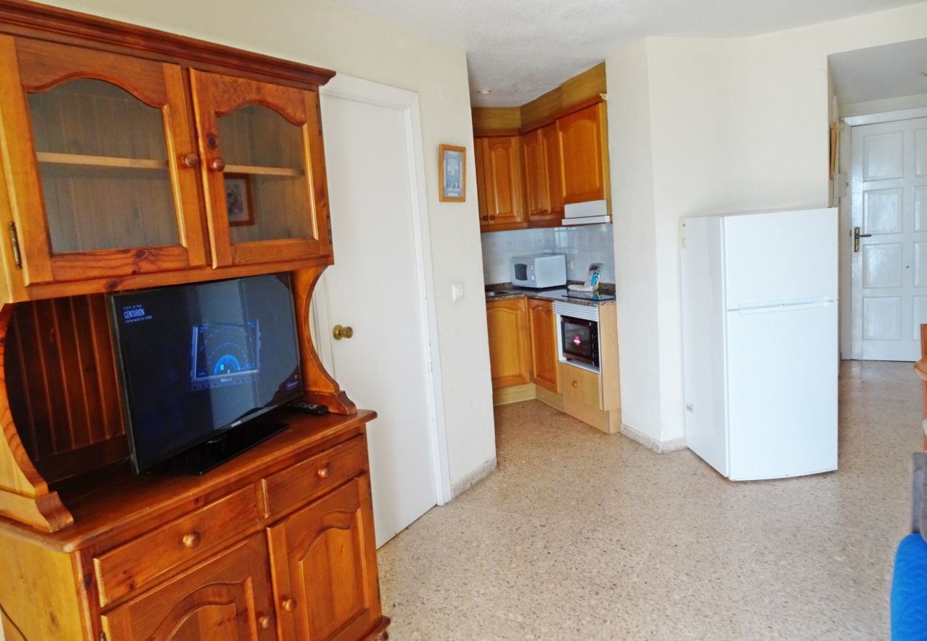 Apartamento en Gandia - INFANTE E4 - 13   /    PLAYA DE GANDIA