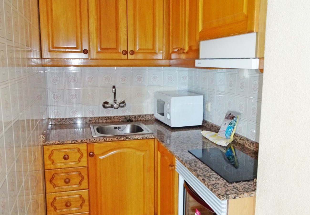 Apartamento en Gandia - INFANTE E4 - 13   /    PLAYA DE GANDIA