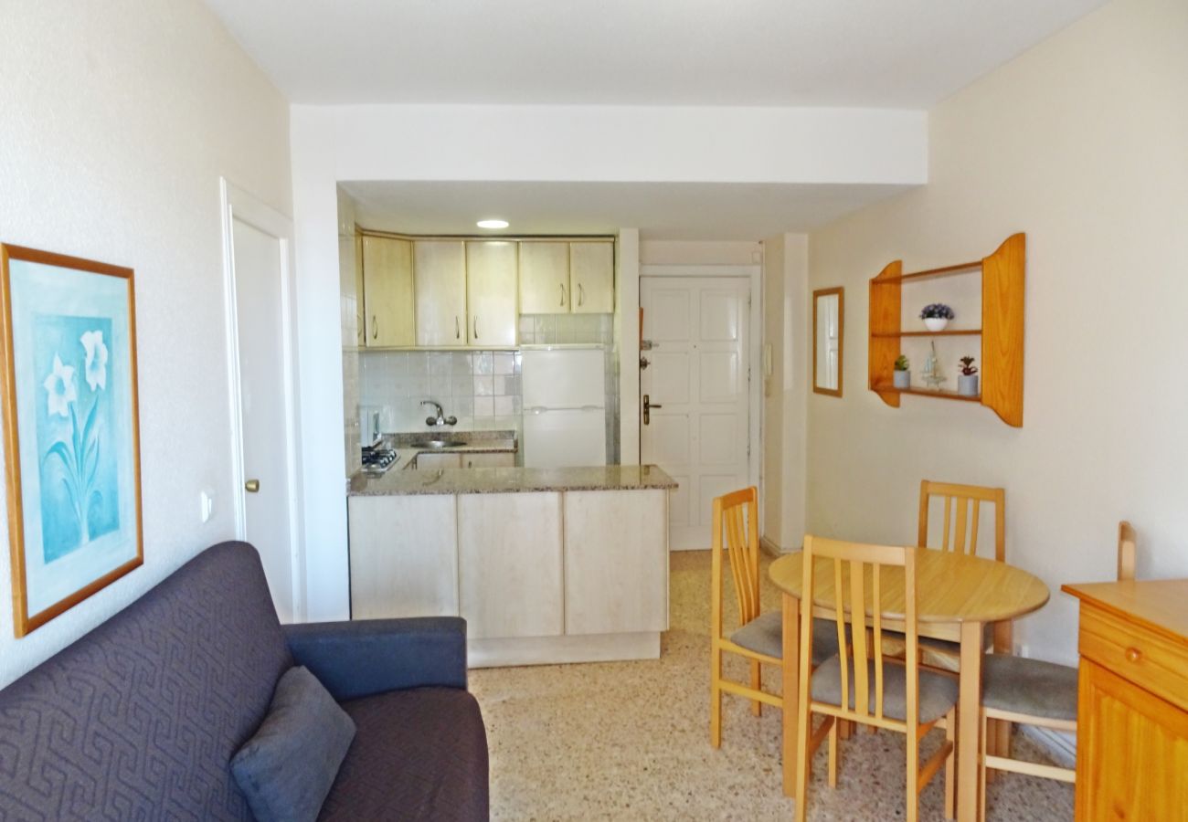 Apartamento en Gandia - INFANTE E5 - 2º    /   PLAYA DE GANDIA