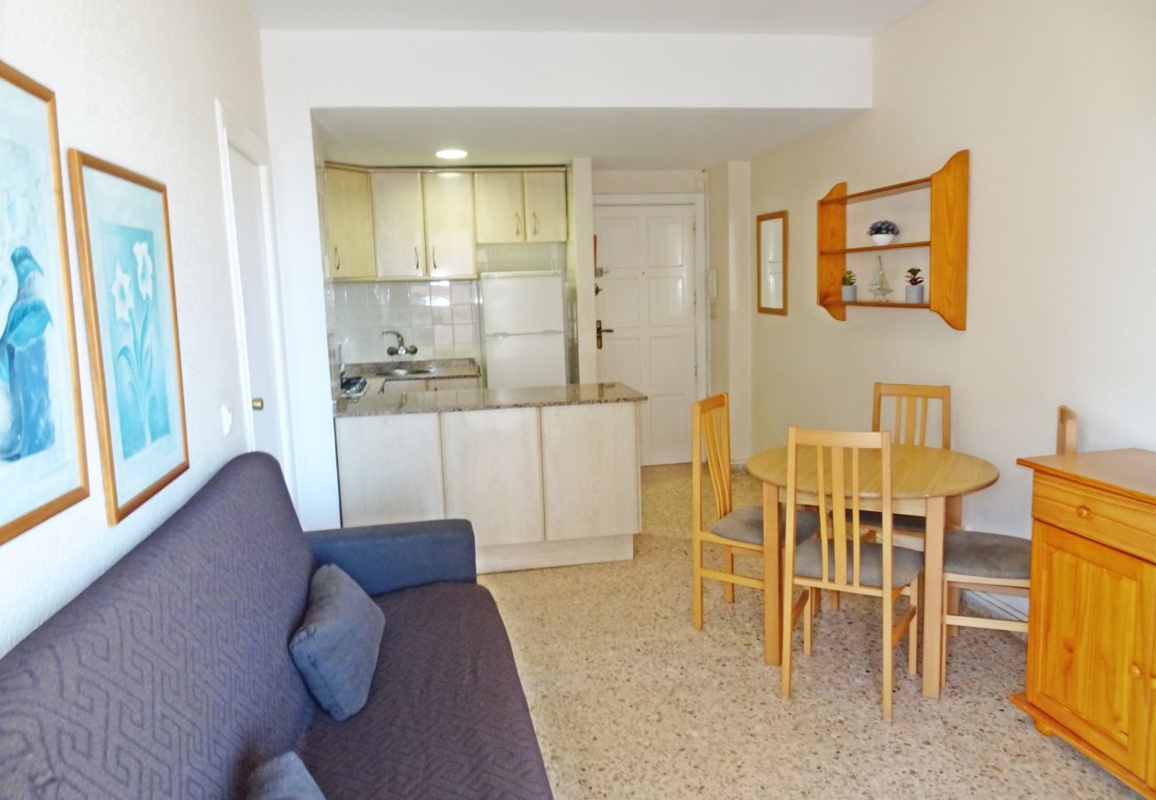 Apartamento en Gandia - INFANTE E5 - 2º    /   PLAYA DE GANDIA