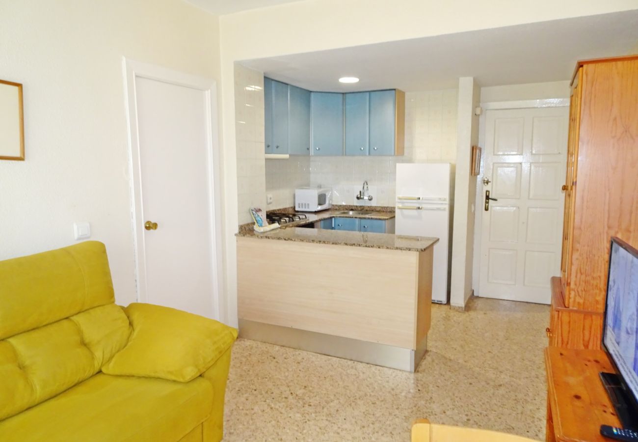 Apartamento en Gandia - INFANTE E5 - 6º    /    PLAYA DE GANDIA
