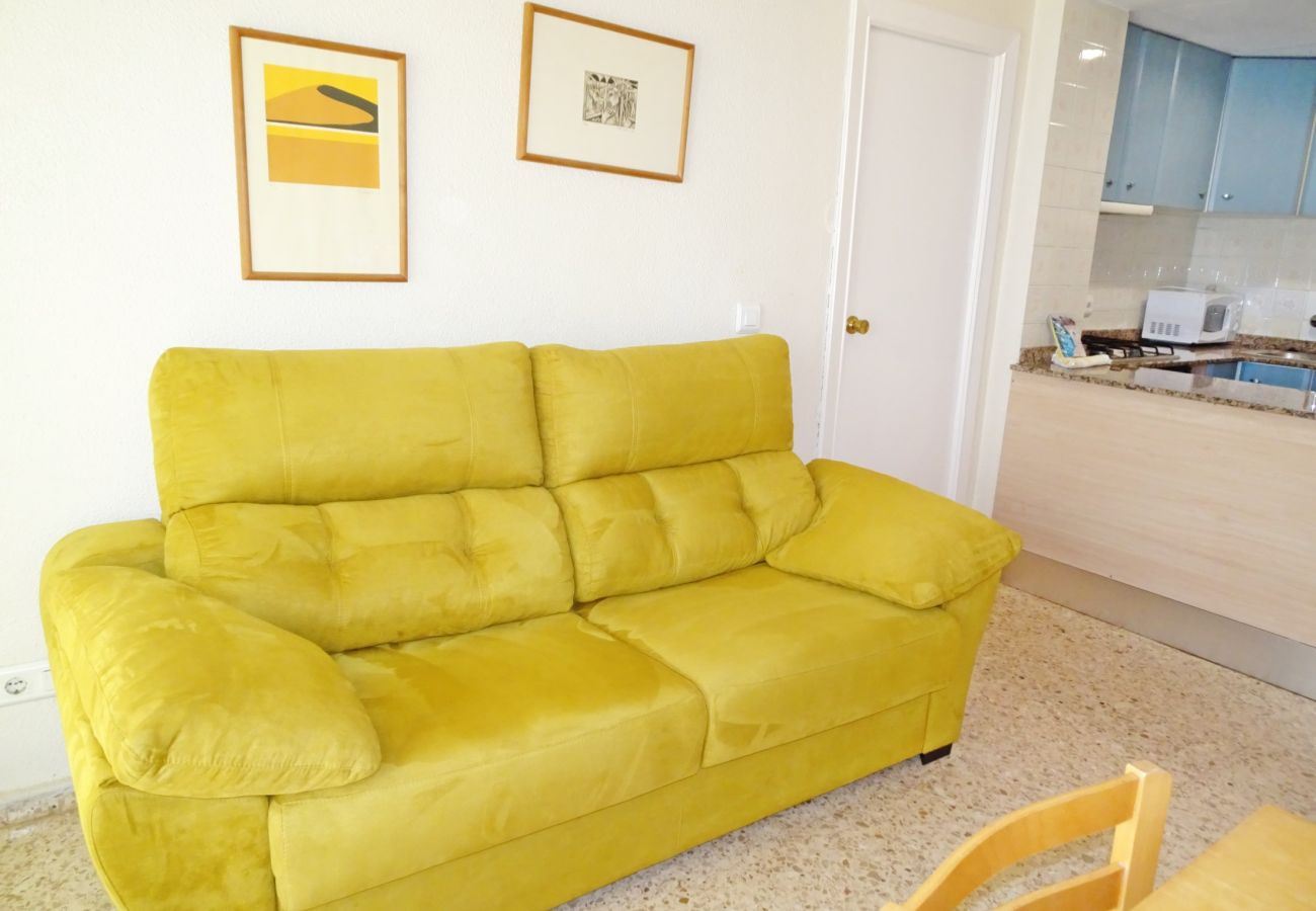 Apartamento en Gandia - INFANTE E5 - 6º    /    PLAYA DE GANDIA