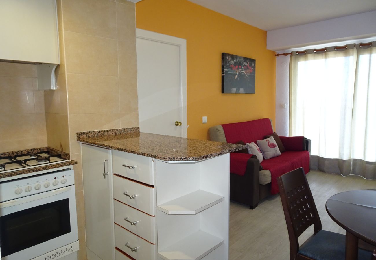 Apartamento en Gandia - INFANTE E5 - 13    /    PLAYA DE GANDIA