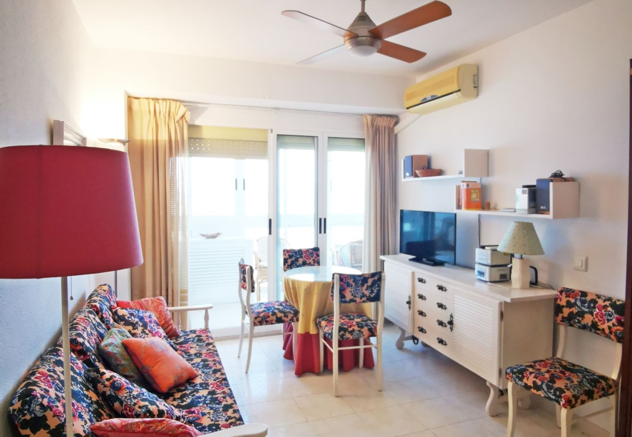 Apartamento en Gandia - INFANTE E5 - 13    /    PLAYA DE GANDIA