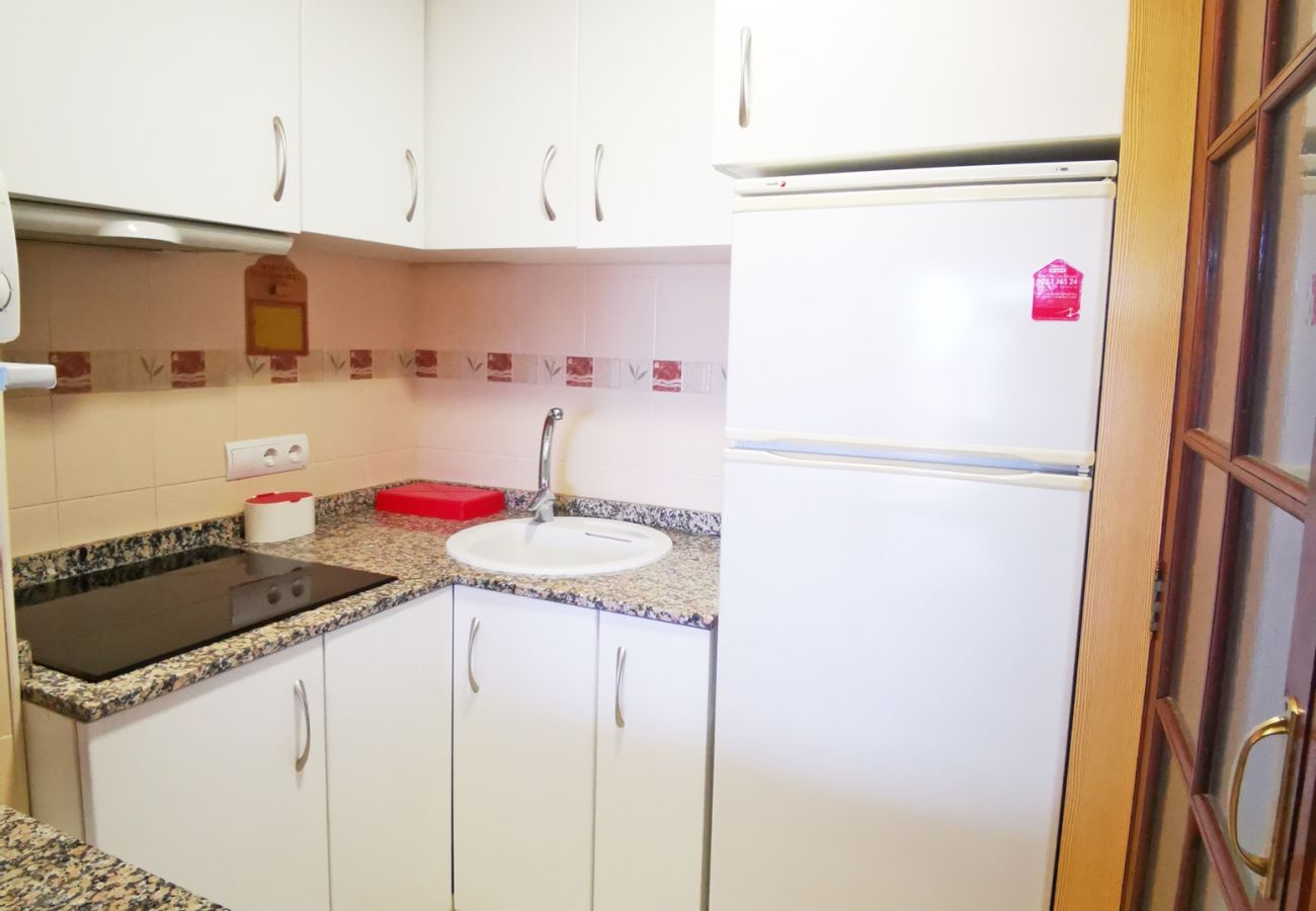 Apartamento en Gandia - INFANTE E5 - 13    /    PLAYA DE GANDIA
