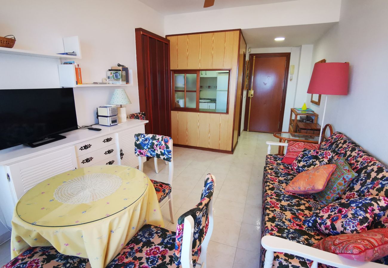 Apartamento en Gandia - INFANTE E5 - 13    /    PLAYA DE GANDIA