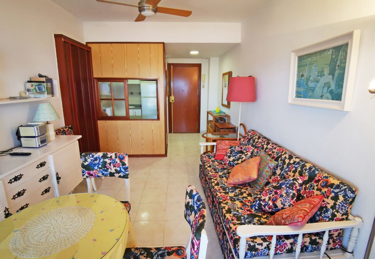 Apartamento en Gandia - INFANTE E5 - 13    /    PLAYA DE GANDIA