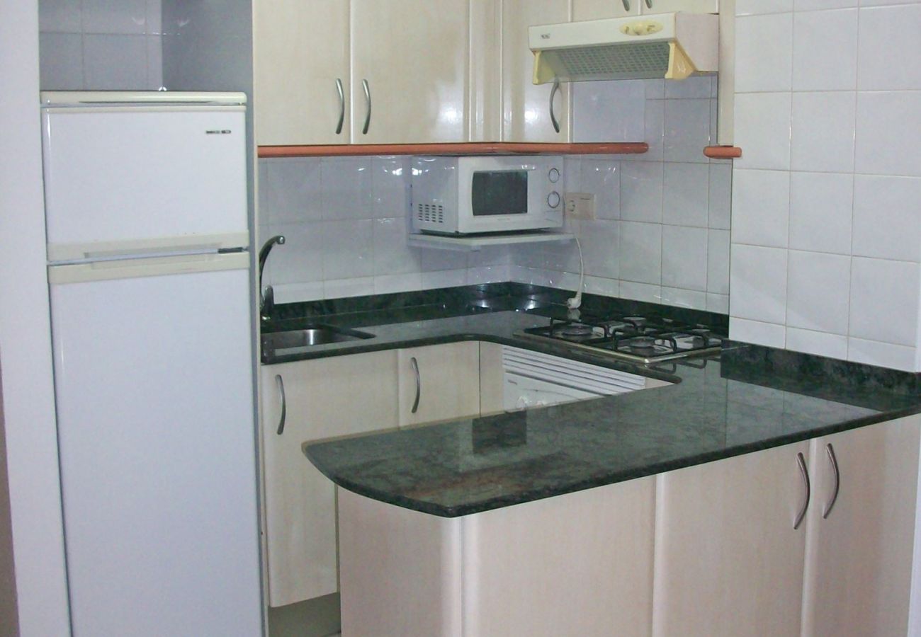 Apartamento en Gandia - INFANTE E7 - 6    /   PLAYA DE GANDIA