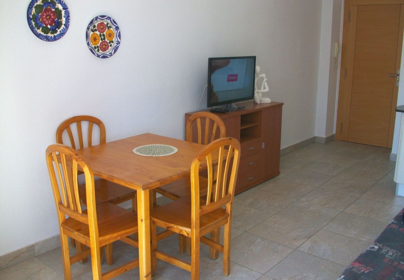 Apartamento en Gandia - INFANTE E7 - 6    /   PLAYA DE GANDIA