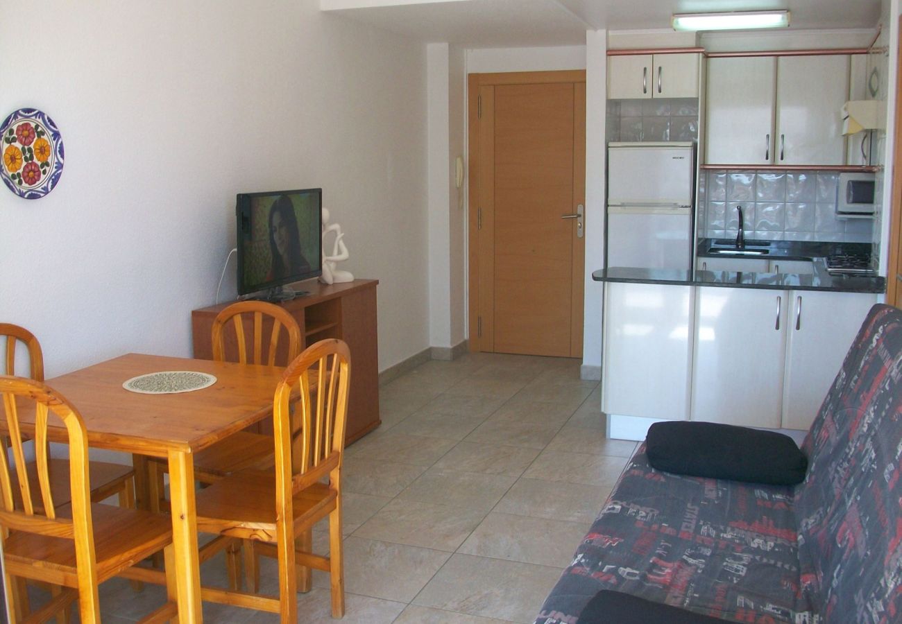 Apartamento en Gandia - INFANTE E7 - 6    /   PLAYA DE GANDIA