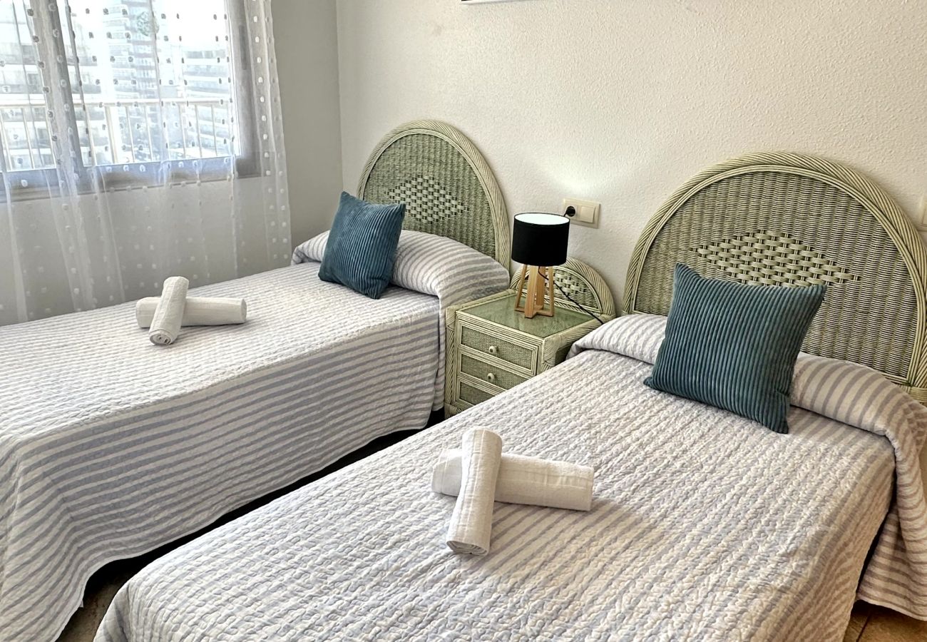 Apartamento en Gandia - INFANTE E7 - 6    /   PLAYA DE GANDIA