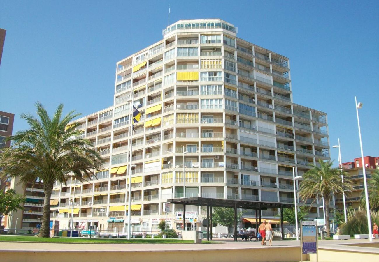 Apartamento en Gandia - INFANTE E8 - 9º    /    PLAYA DE GANDIA