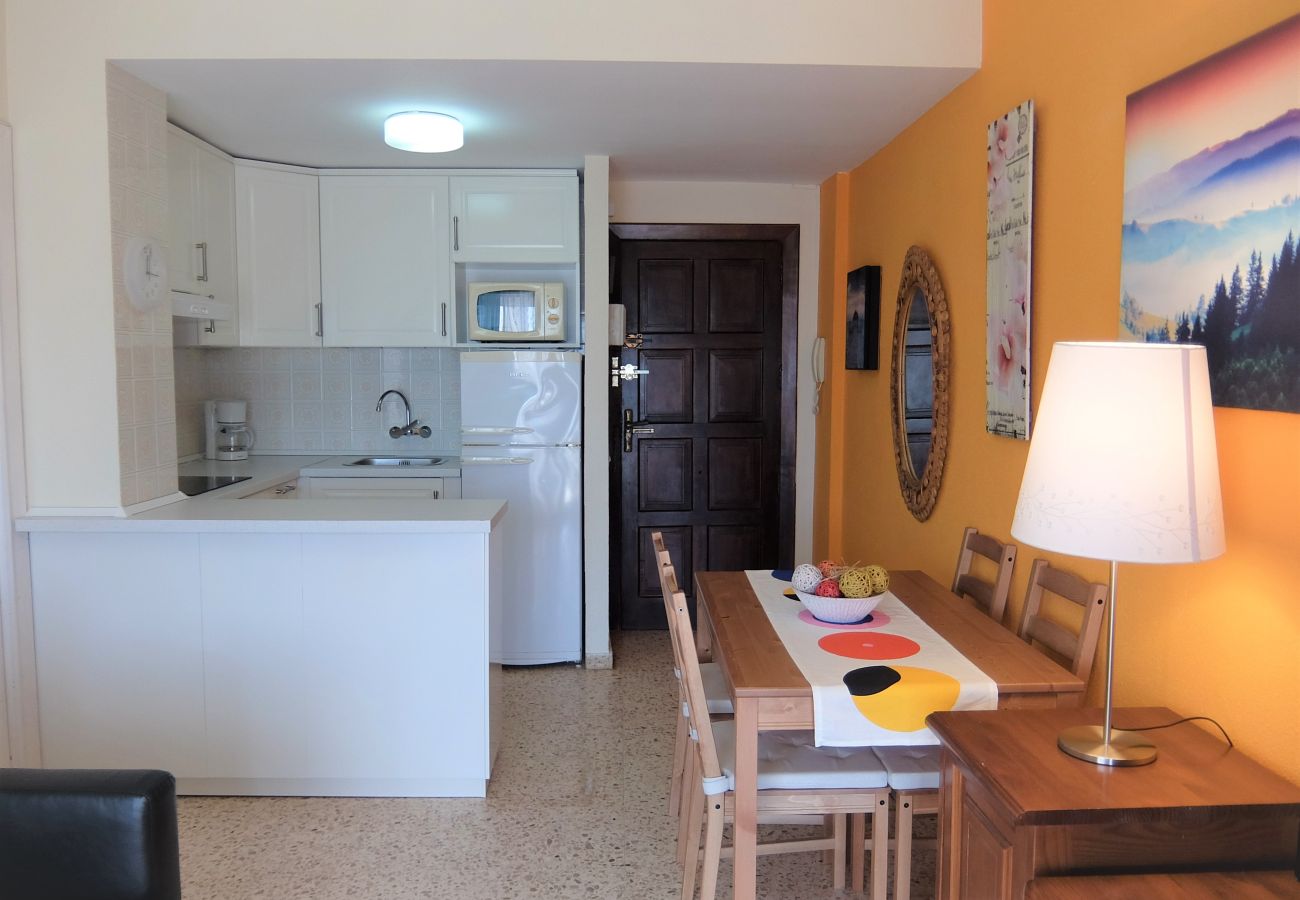 Apartamento en Gandia - INFANTE E8 - 9º    /    PLAYA DE GANDIA