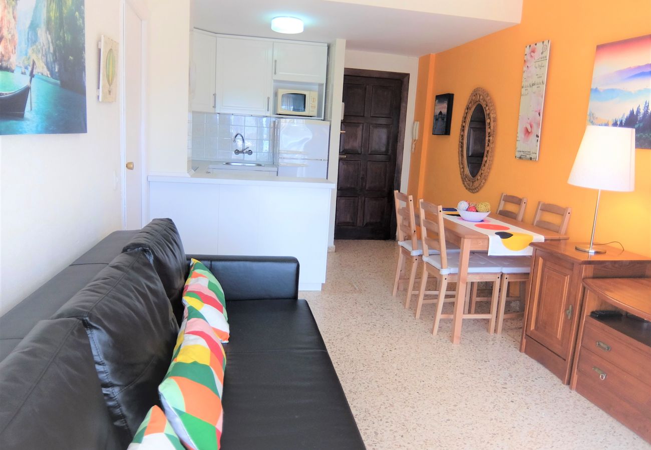 Apartamento en Gandia - INFANTE E8 - 9º    /    PLAYA DE GANDIA